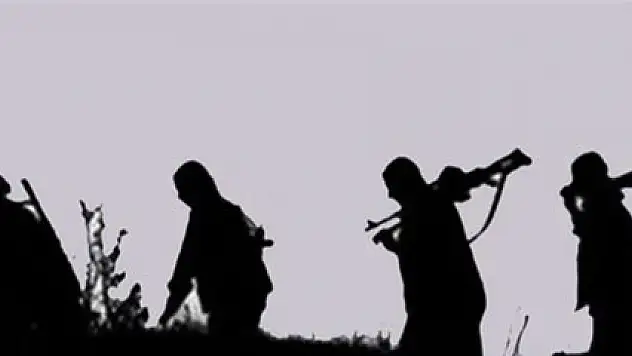 Şırnak'ta 1 PKK'lı öldürüldü