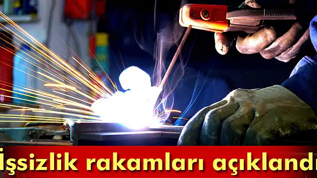 İşsizlik rakamları açıklandı