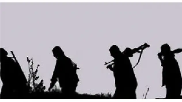 Bitlis'te PKK üyesi 1 kişi yakalandı