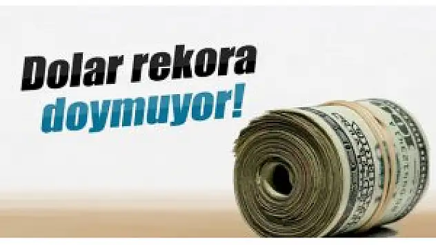 Dolar rekora doymuyor