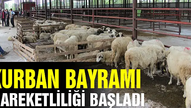  KURBAN BAYRAMI HAREKETLİLİĞİ BAŞLADI 