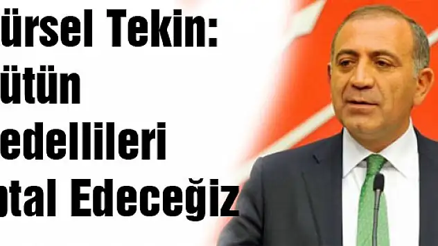 Gürsel Tekin: Bütün Bedellileri İptal Edeceğiz