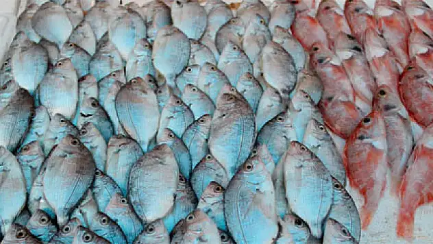 Balık fiyatları altını solladı