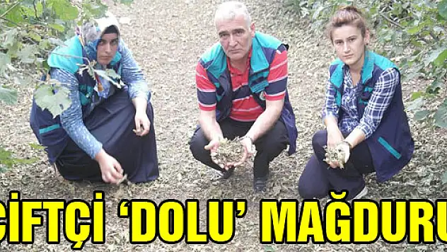 ÇİFTÇİ 'DOLU' MAĞDURU