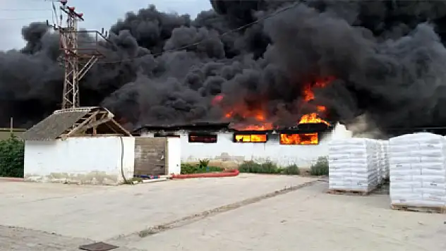 Ambalaj fabrikasındaki yangın korkuttu