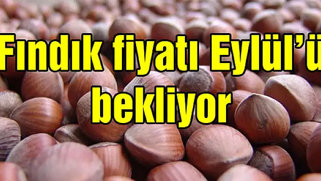 Fındık fiyatı Eylül'ü bekliyor