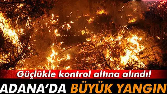 Adana'da orman yangını!