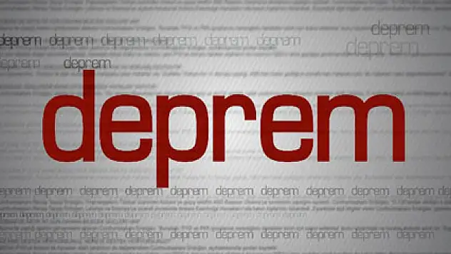 Van Gölü'nde korkutan deprem