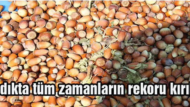 Fındıkta tüm zamanların rekoru kırıldı