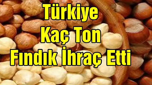 Türkiye kaç ton fındık ihraç etti?