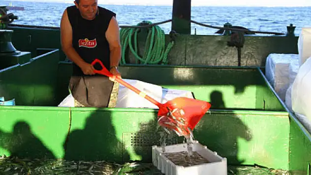 Samsun'da Balıkçılar 'Vira Bismillah' Dedi