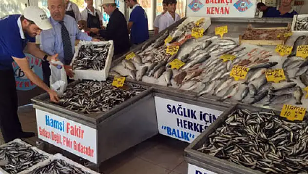 Marmara Denizi'nde hamsi bolluğu