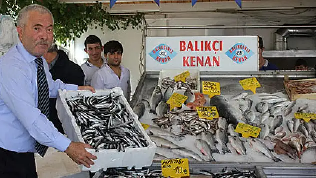 Hamsinin bolluğu yüzleri güldürdü