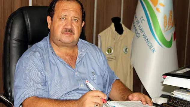 Fındıkta beklenen 100 BİN TON 