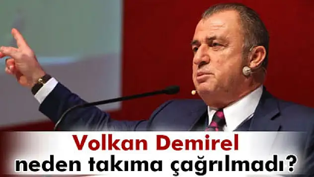 Fatih Terim'den Volkan Demirel açıklaması