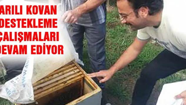 ARILI KOVAN DESTEKLEME ÇALIŞMALARI DEVAM EDİYOR