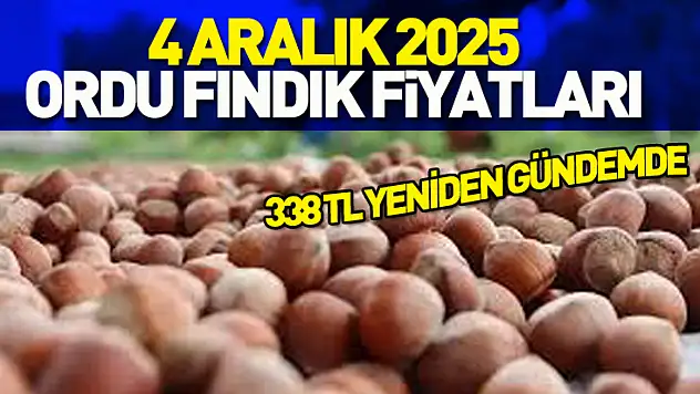 4 Aralık 2025 Ordu Fındık Fiyatları? 338 TL Yeniden Gündemde