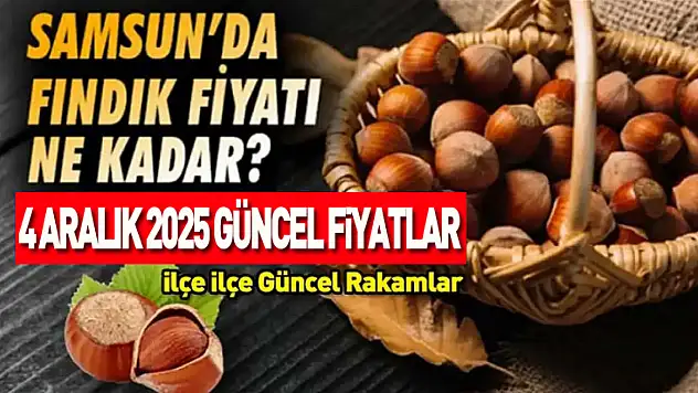 4 Aralık 2025 Samsun Fındık Fiyatları ne kadar? Piyasa Rekabeti Sertleşti