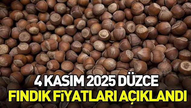 4 Kasım 2025 Düzce Fındık Fiyatları Açıklandı