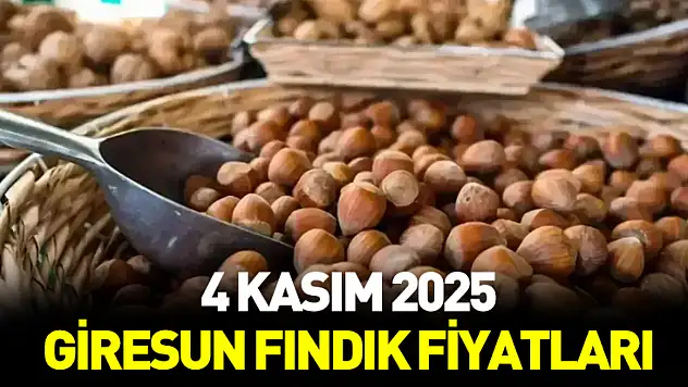 4 Kasım 2025 Giresun'da fındık ne kadar?