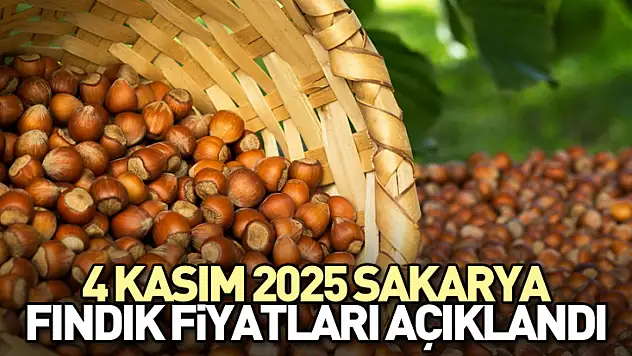 4 Kasım 2025 Sakarya Fındık Fiyatları Açıklandı