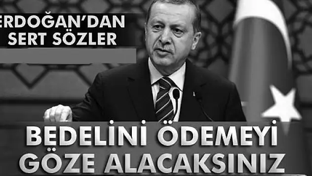 Erdoğan: 'Bedelini ödemeyi göze alacaksınız'