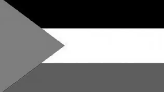 BM genel merkezinde Filistin bayrağı dalgalanacak