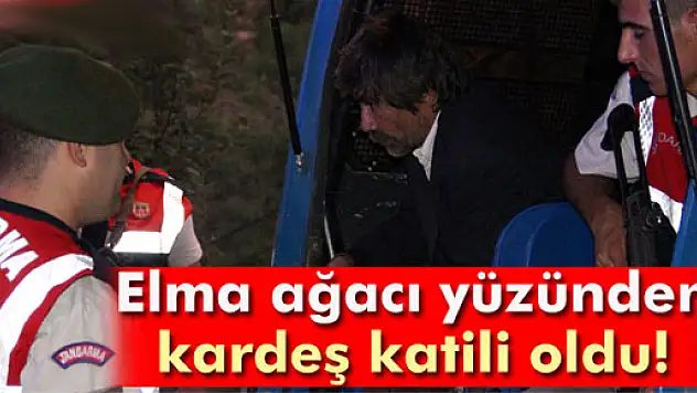 Kardeş kavgası cinayetle bitti