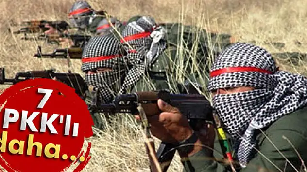Şırnak'ta 7 PKK'lı...