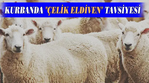 KURBANDA 'ÇELİK ELDİVEN' TAVSİYESİ