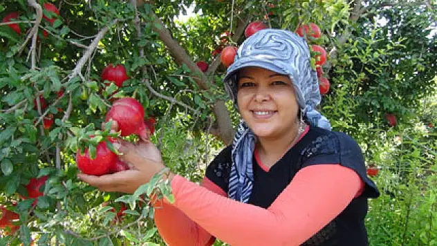 Terör olayları nar üreticisini de vurdu