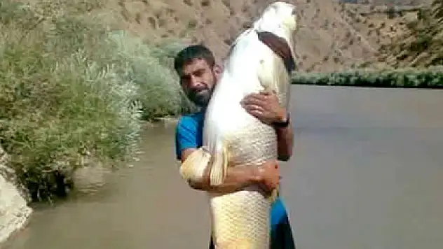 Dev sazan sosyal medyada ilgi odağı oldu