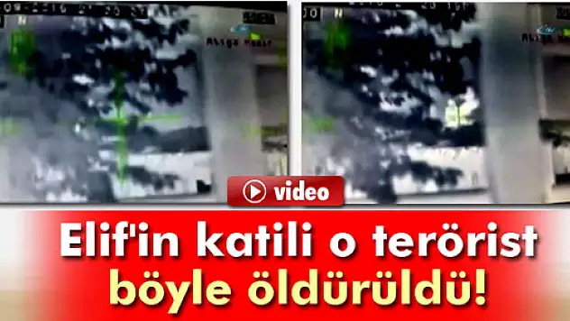 Elif'in katili o terörist böyle öldürüldü 