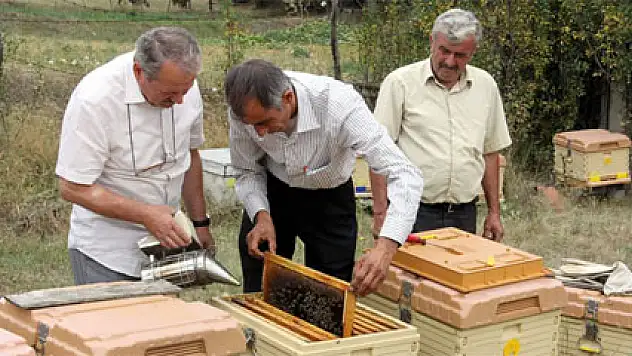 Yağışlar bal üretimini düşürdü