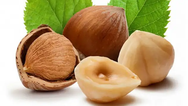 Ferrero Fındık Ödülü Yarışması'nın kazananları belli oldu