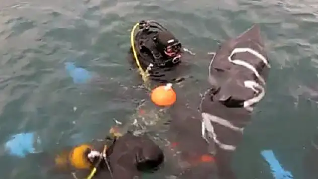 Haliç Köprüsü'nden ölüme atladı