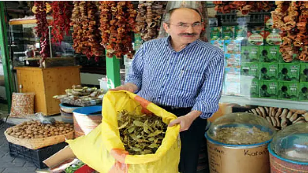 AKTARCILARIN UMUDU 'İTHAL IHLAMUR'