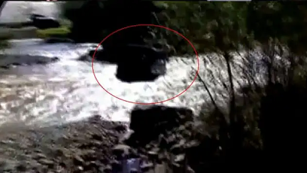 Cip nehri geçemedi: Sürücü öldü !