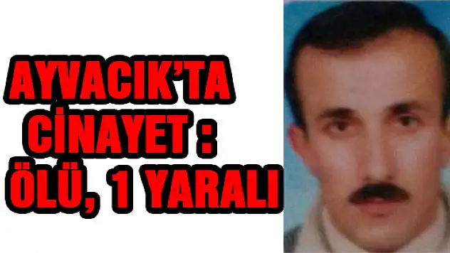AYVACIK'TA CİNAYET : 1 ÖLÜ, 1 YARALI