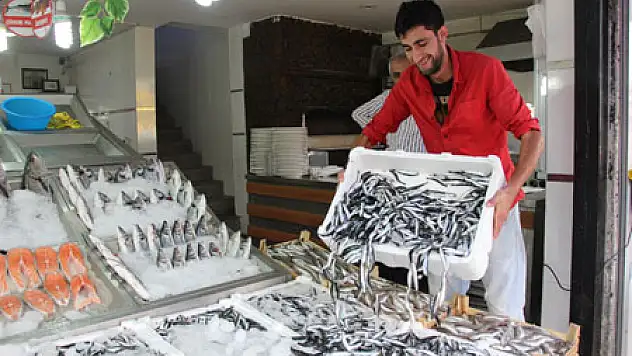 Yerli Hamsi Tezgahlarda