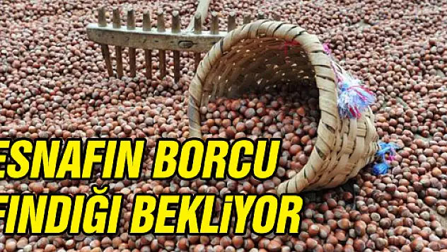 'Esnafın borcu fındığı bekliyor'