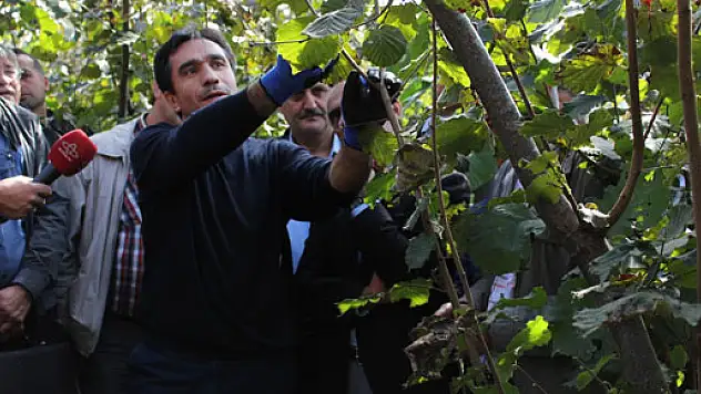 Fındıkta Doğru Budama Eğitimi