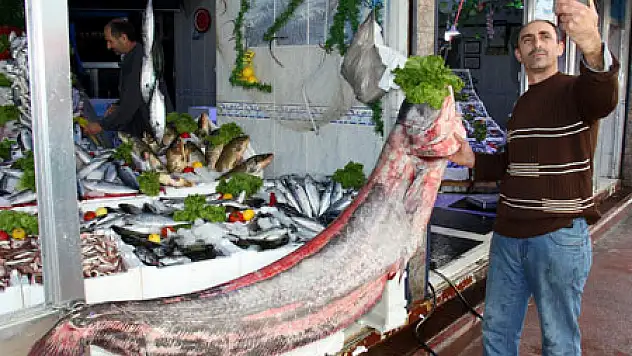 Sazana Niyet, Yayın Balığına Kısmet