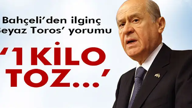 Bahçeli'den 'Beyaz Toros' açıklaması