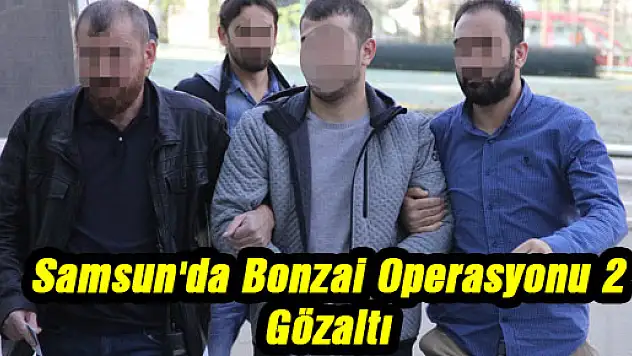 Samsun'da Bonzai Operasyonu: 2 Gözaltı