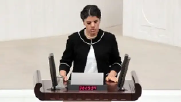 Dilek Öcalan Meclis'e girdi mi?