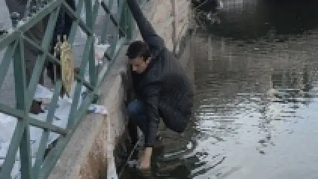 Güvercin için seferber oldular