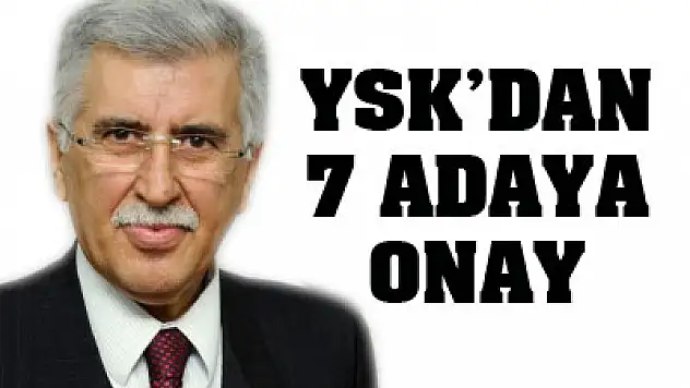 YSK'dan 7 adaya onay