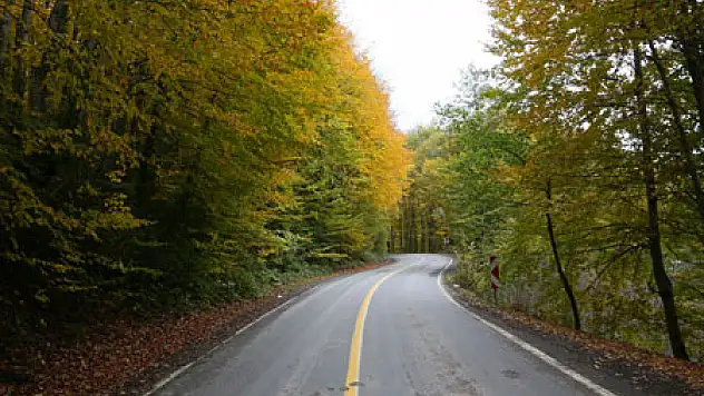Karadeniz'de Renk Cümbüşü
