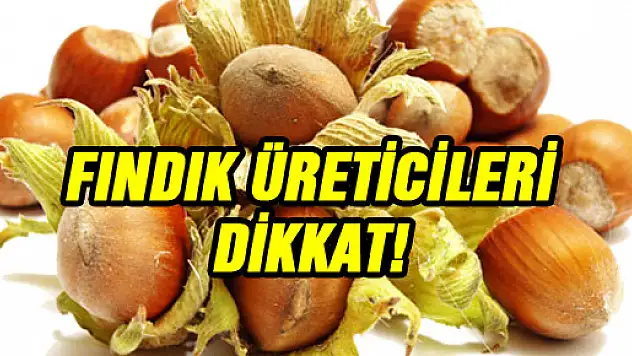 Fındık üreticileri Dikkat!